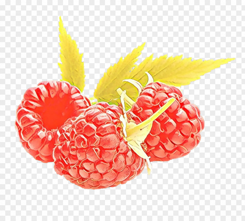 Frutti Di Bosco Blackberry Pineapple PNG