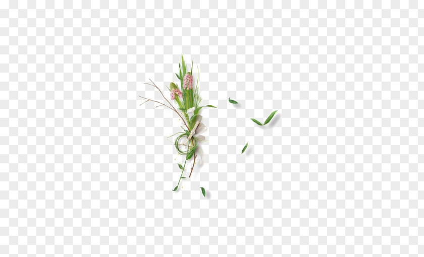Green Grass Leaf Clip Art PNG