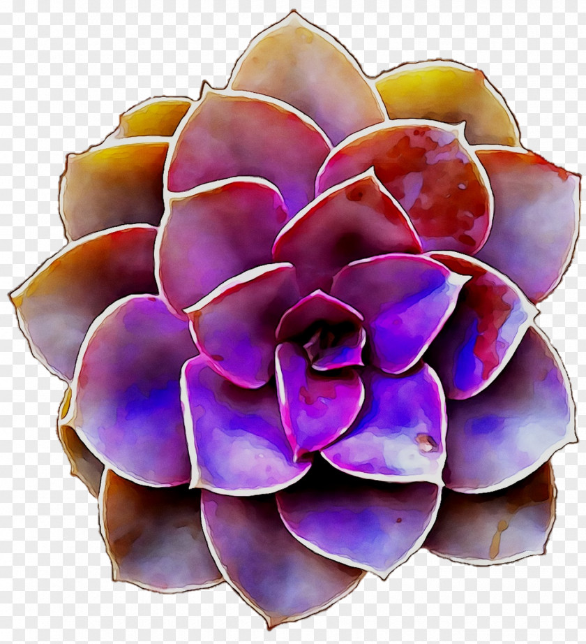 Purple Cut Flowers PNG