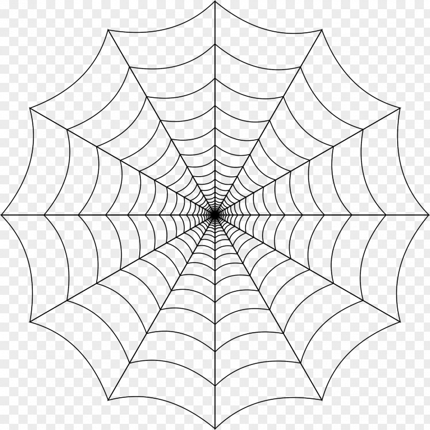 Spider Web Clip Art PNG