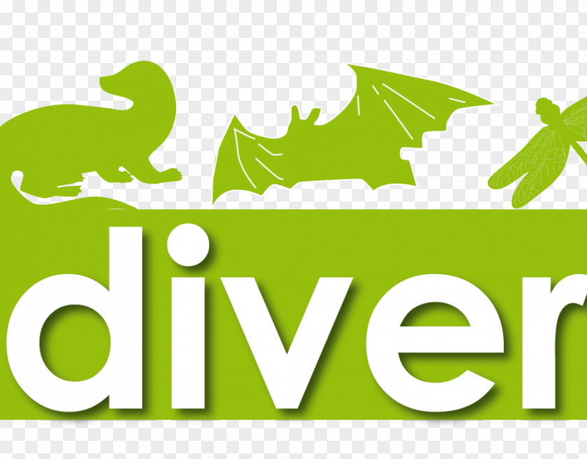 Statute Biodiversity Natural Environment Code De L'environnement Civil Law PNG