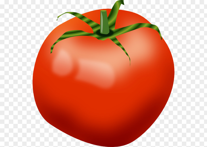 Tomato Clip Art Cartoon Vegetable PNG