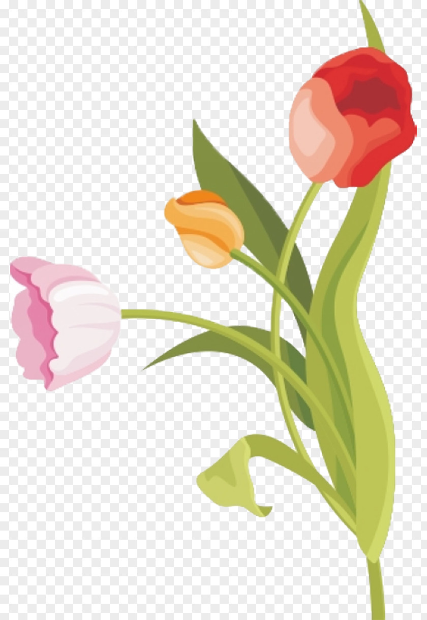 Tulip Vector Graphics Flower Watercolor Painting PNG