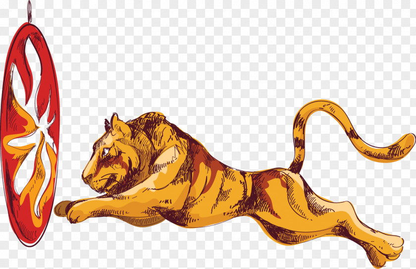 Vector Painted Circus Lion Jump Through Hoops Tiger Illustration PNG
