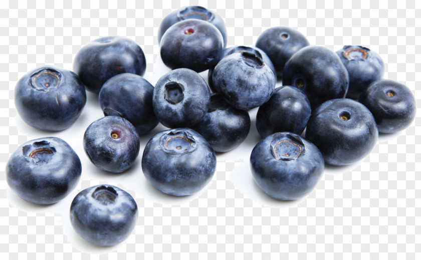 Blueberry Huckleberry Bilberry Juniper Berry PNG