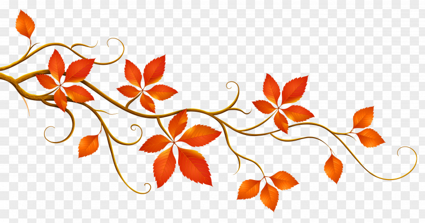 Decorative Branch With Autumn Leaves Clipart Leaf Color Clip Art PNG