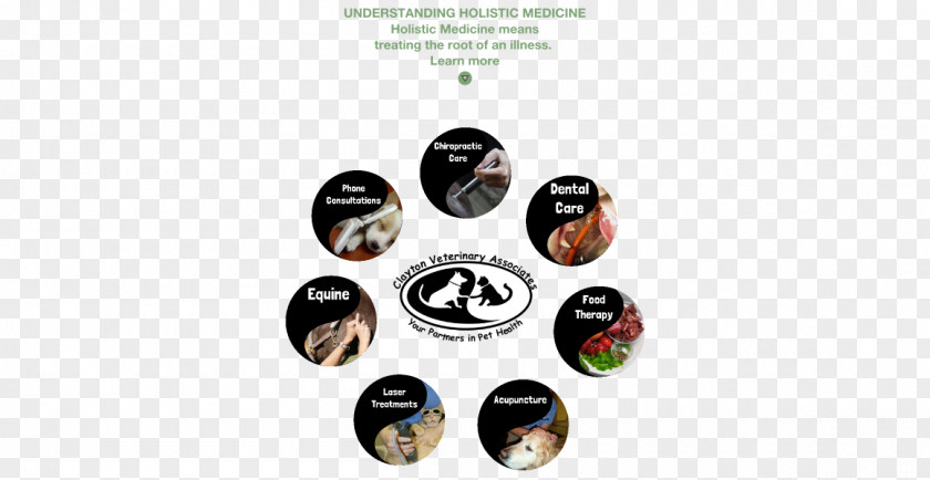 Holistic Veterinary Medicine Hazard Analysis And Critical Control Points Service Business Money Market PNG