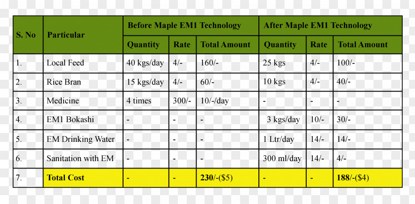 Statistical Tables Weight Management Body Woman Heel PNG