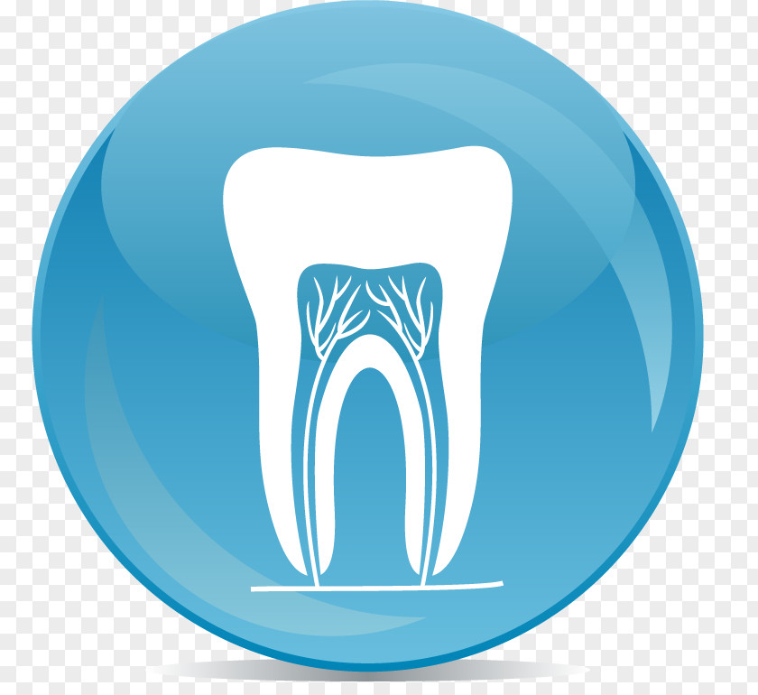 Teeth Dentistry Root Canal Endodontic Therapy Endodontics PNG