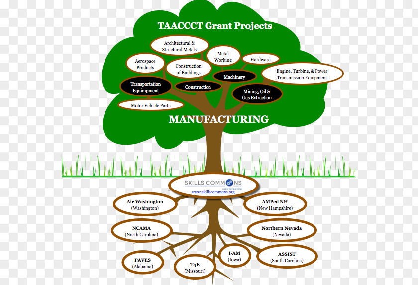 Tree Information Technology Manufacturing PNG