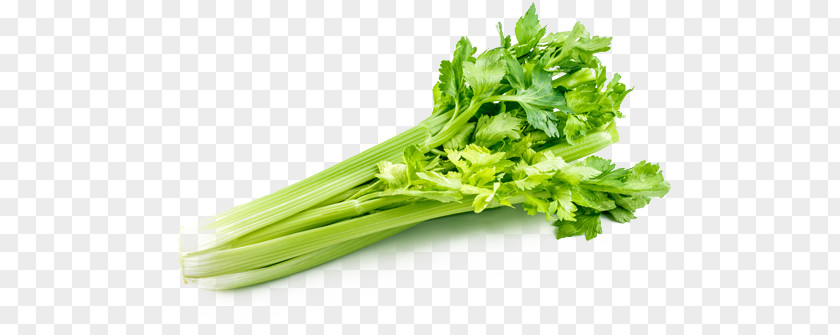 Vegetable Celery Organic Food Leaf Celeriac PNG
