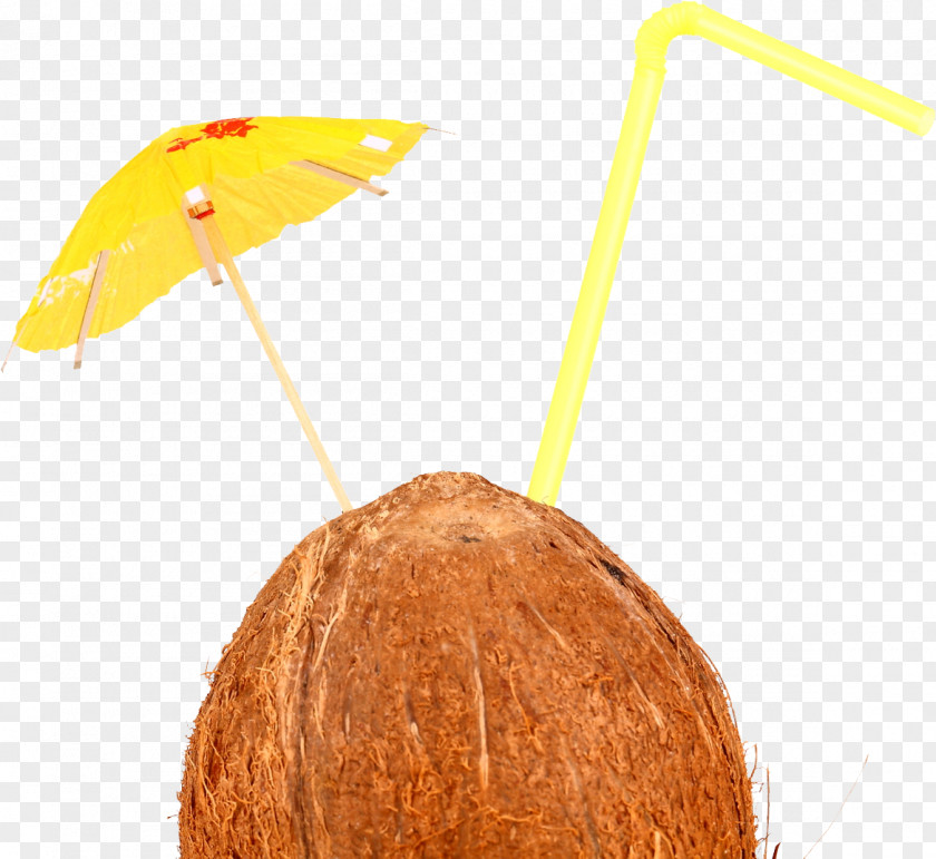 Coconuts Cocktail Wine Alcoholic Drink Food Clip Art PNG