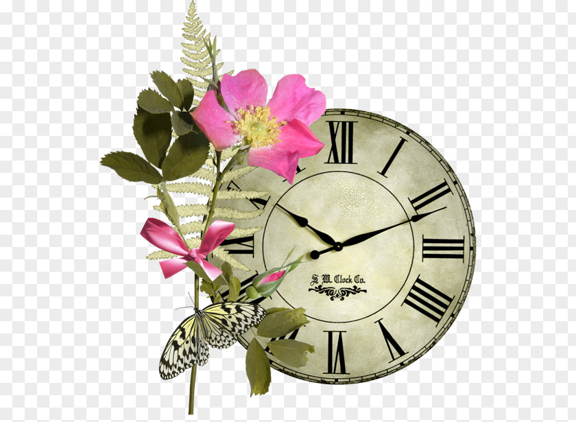 Flower Cut Flowers Clock PNG