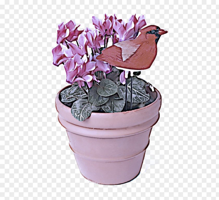 Hydrangea Petal Flower Flowerpot Plant Violet Flowering PNG