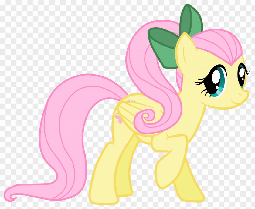 Pony Fluttershy Rarity Pinkie Pie Rainbow Dash PNG