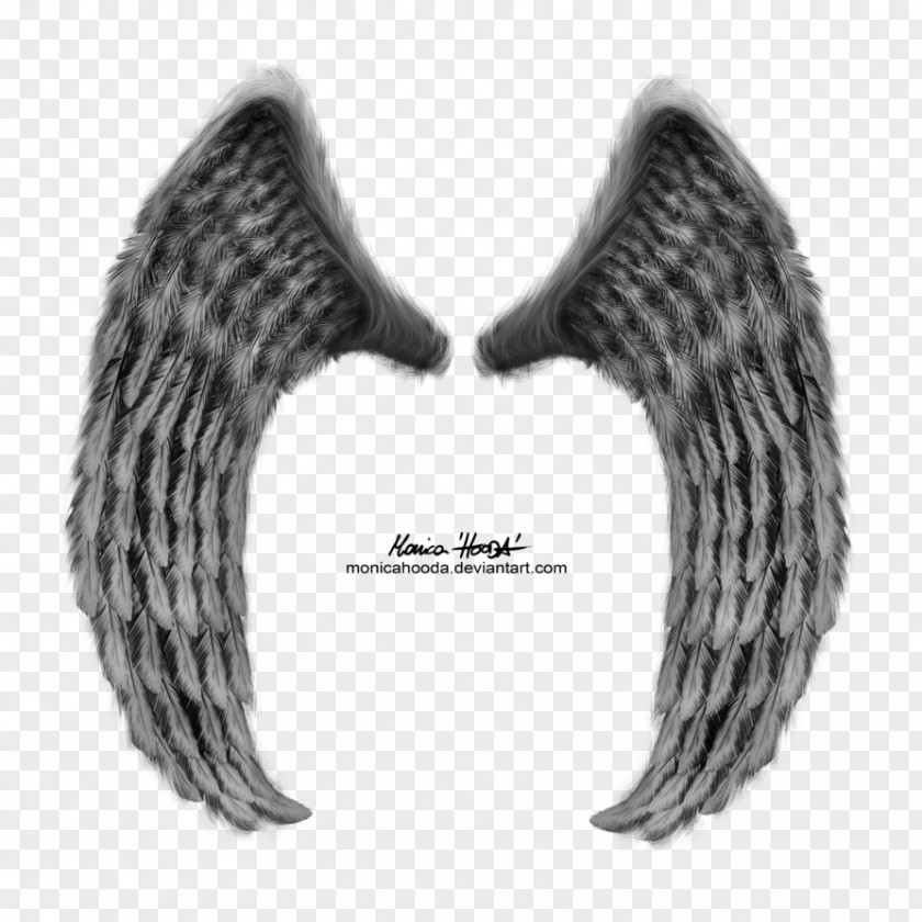Wings Fur Neck Font PNG