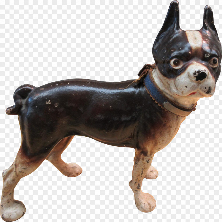 Boston Terrier French Bulldog Dog Breed Companion PNG