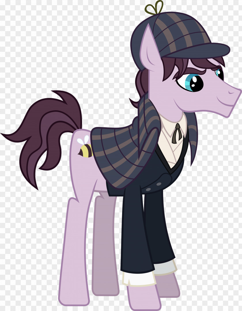 Horse My Little Pony Sherlock Holmes Twilight Sparkle PNG
