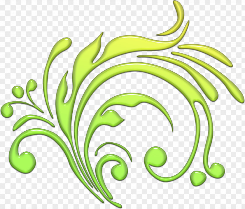 Leaf Branch Ornamental Plant Clip Art PNG