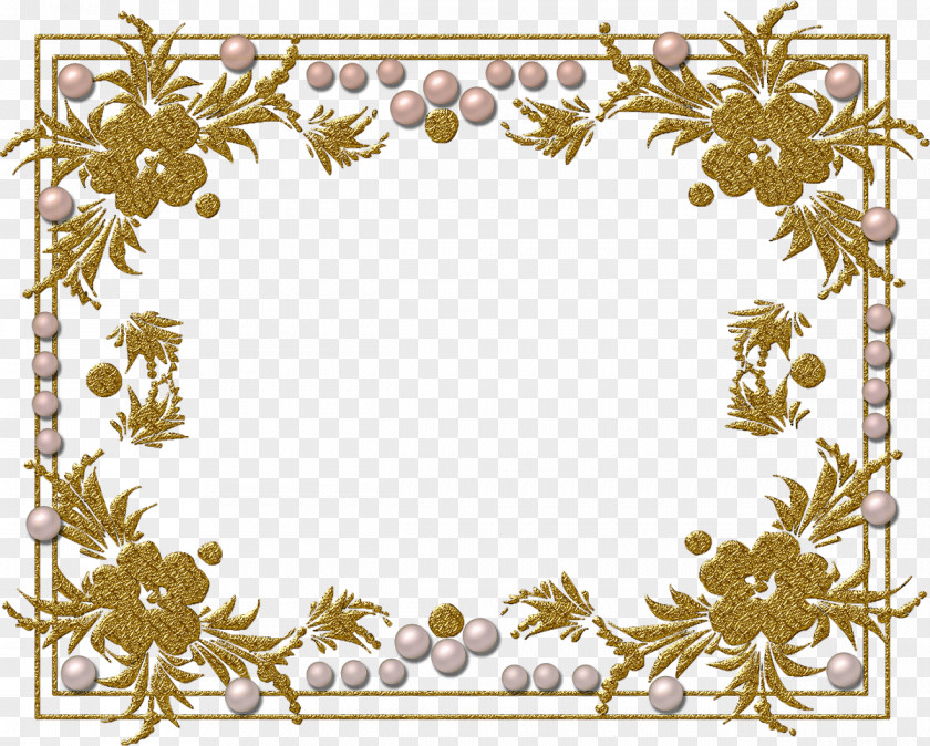Pearls Picture Frames Pattern PNG