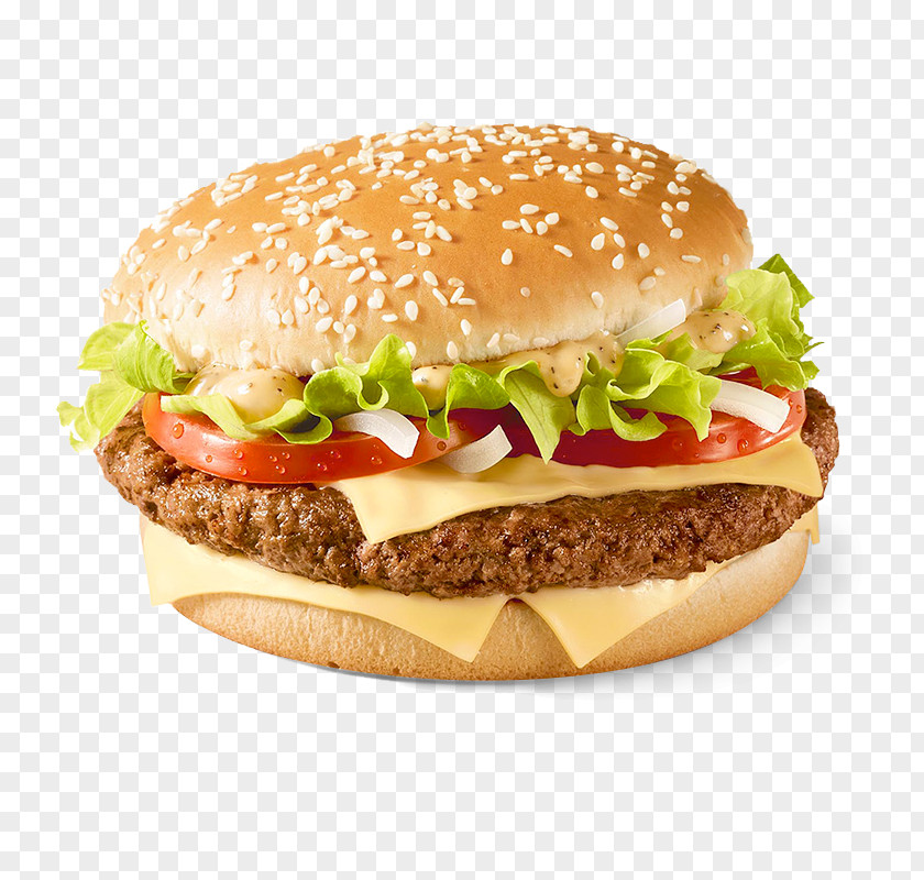 Tasty Big N' Hamburger KFC Fast Food French Fries PNG