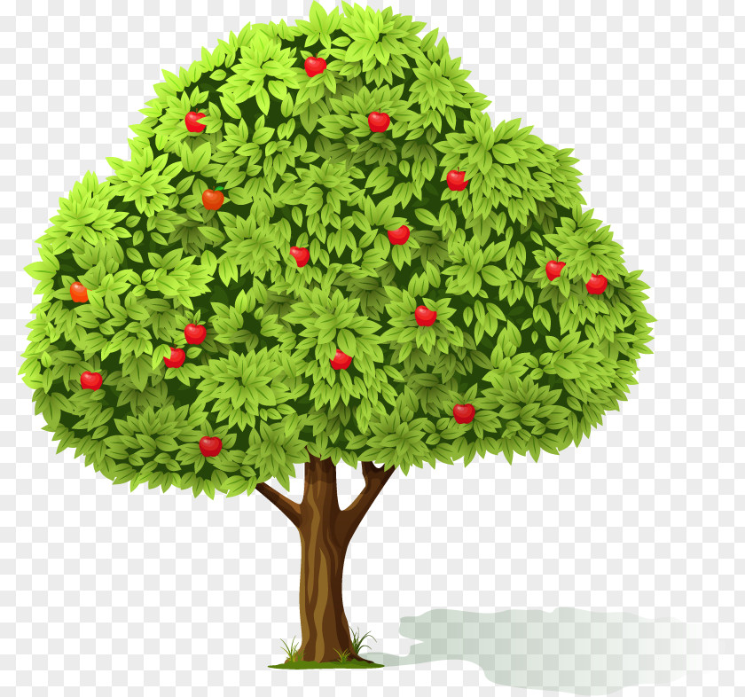 Tree Flowerpot Houseplant Evergreen Clip Art PNG