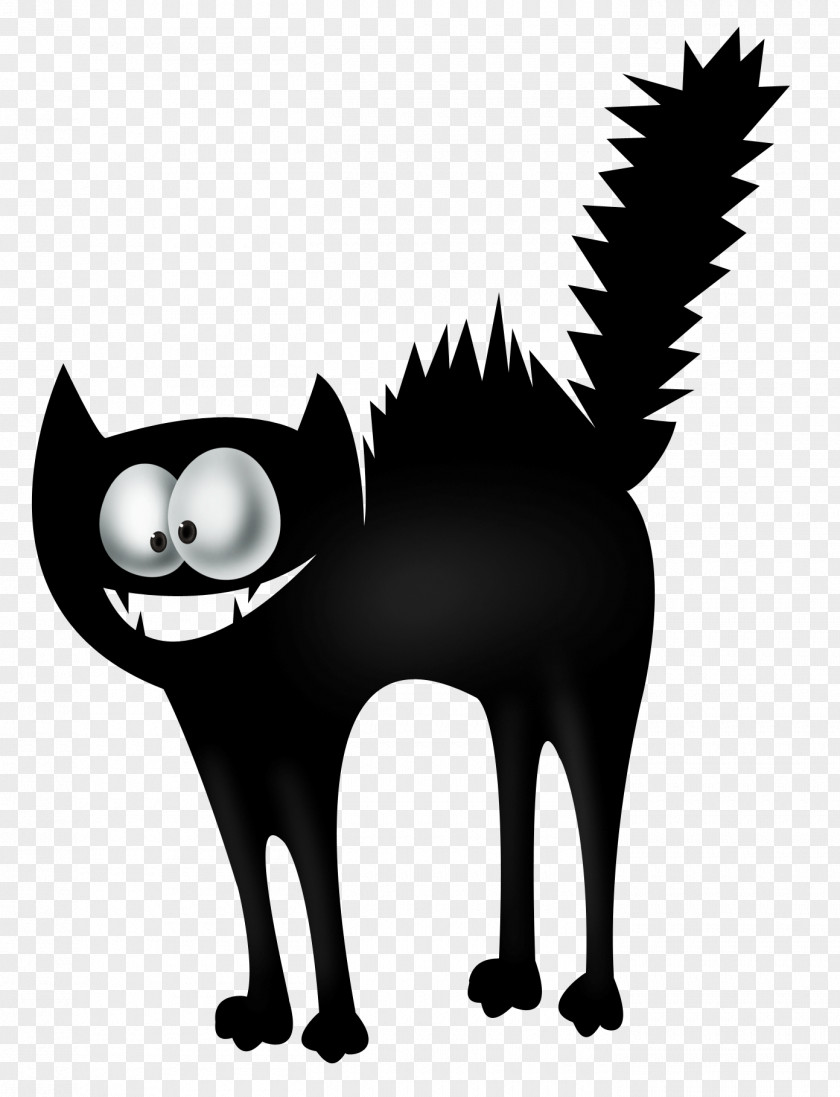 Witch Cat Black Halloween Witchcraft PNG