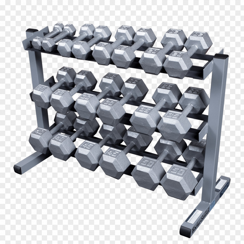 Dumbbells Dumbbell Barbell Weight Plate Training PNG