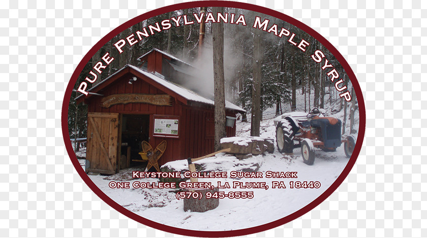 Maple Syrup La Plume, Pennsylvania Mustard Sugar Shack Maine PNG