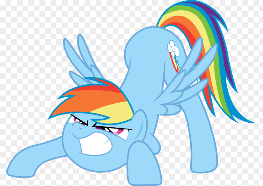 Rainbow Dash Likes Girls Pony Horse Art PNG