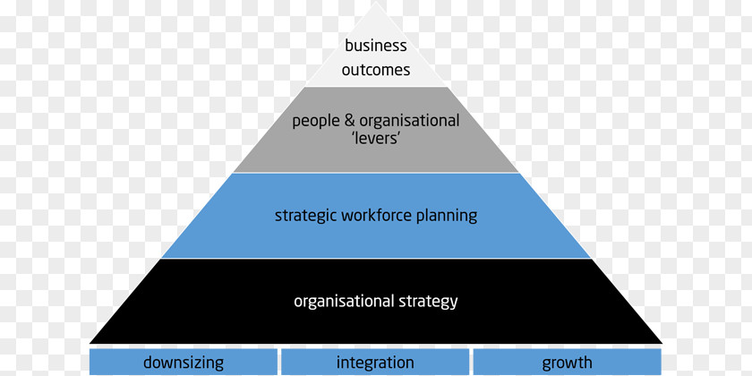 We Will Engage In Activities Workforce Planning Business Management PNG