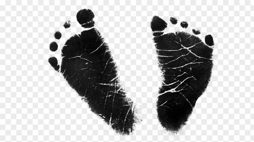 Baby Transparent Human Fur Black Shoe Font PNG