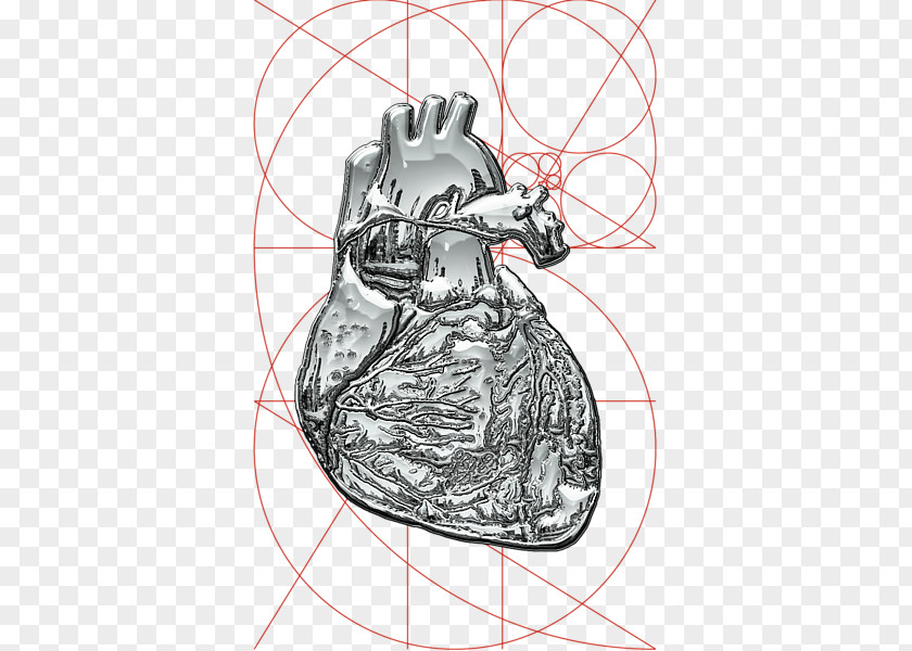 Creative Human Heart Drawing /m/02csf Product Illustration PNG