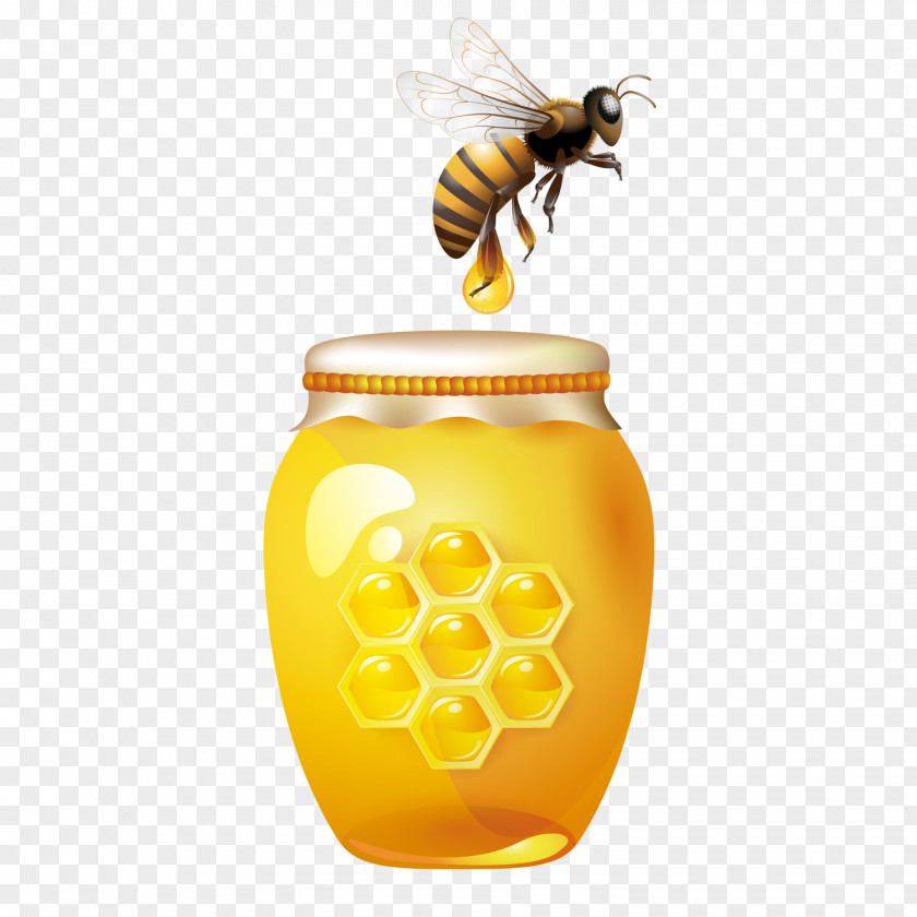 Honey Bee Hive Jar Clip Art PNG