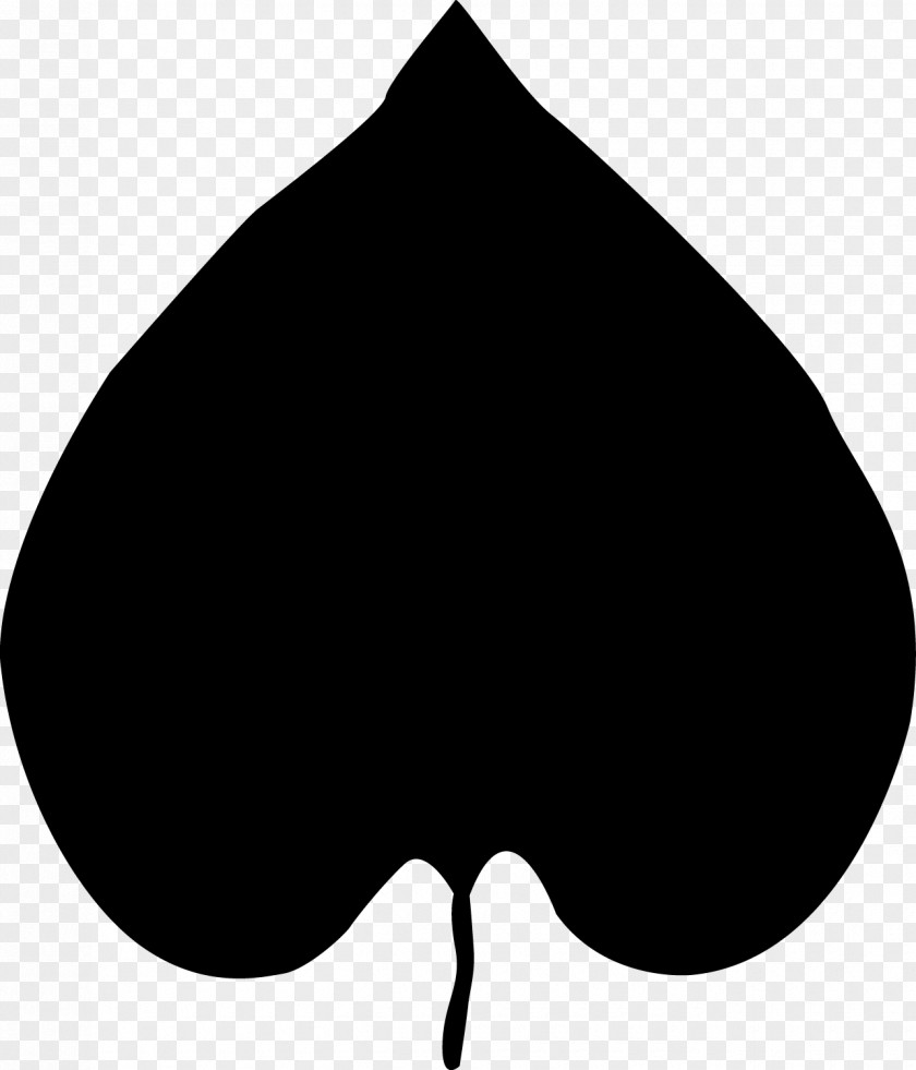 Leaf Graphic Black And White PNG
