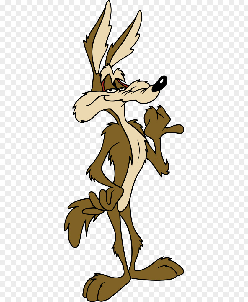 Wile E. Coyote And The Road Runner Looney Tunes Cartoon PNG