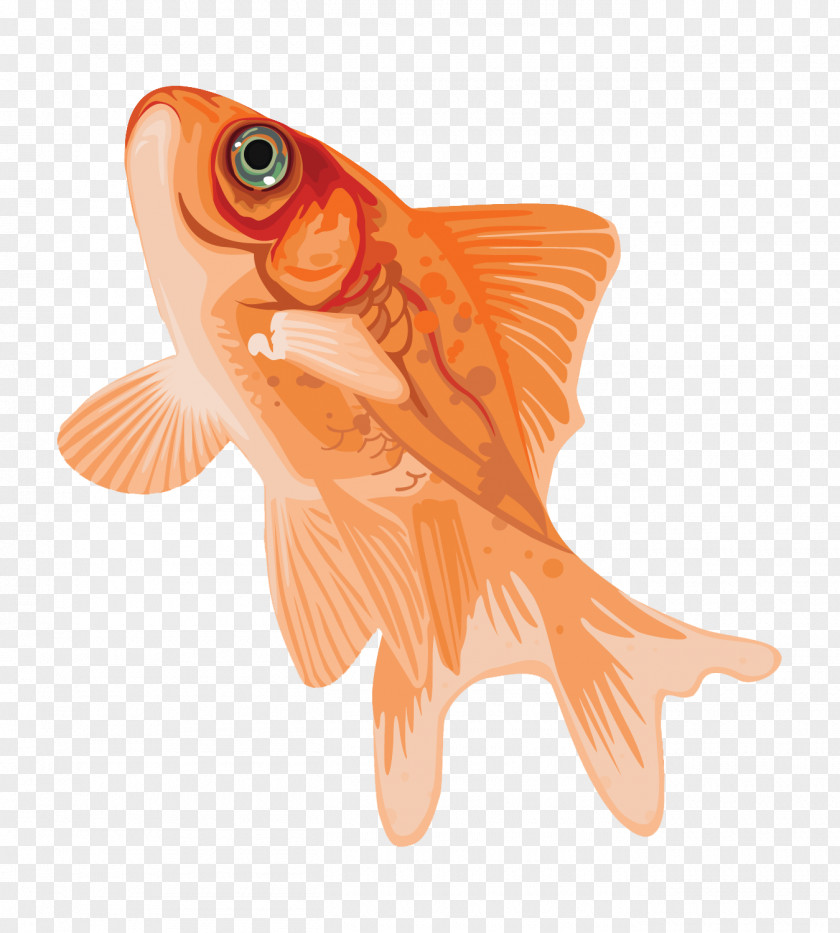 Animal Figure Rayfinned Fish Cartoon PNG