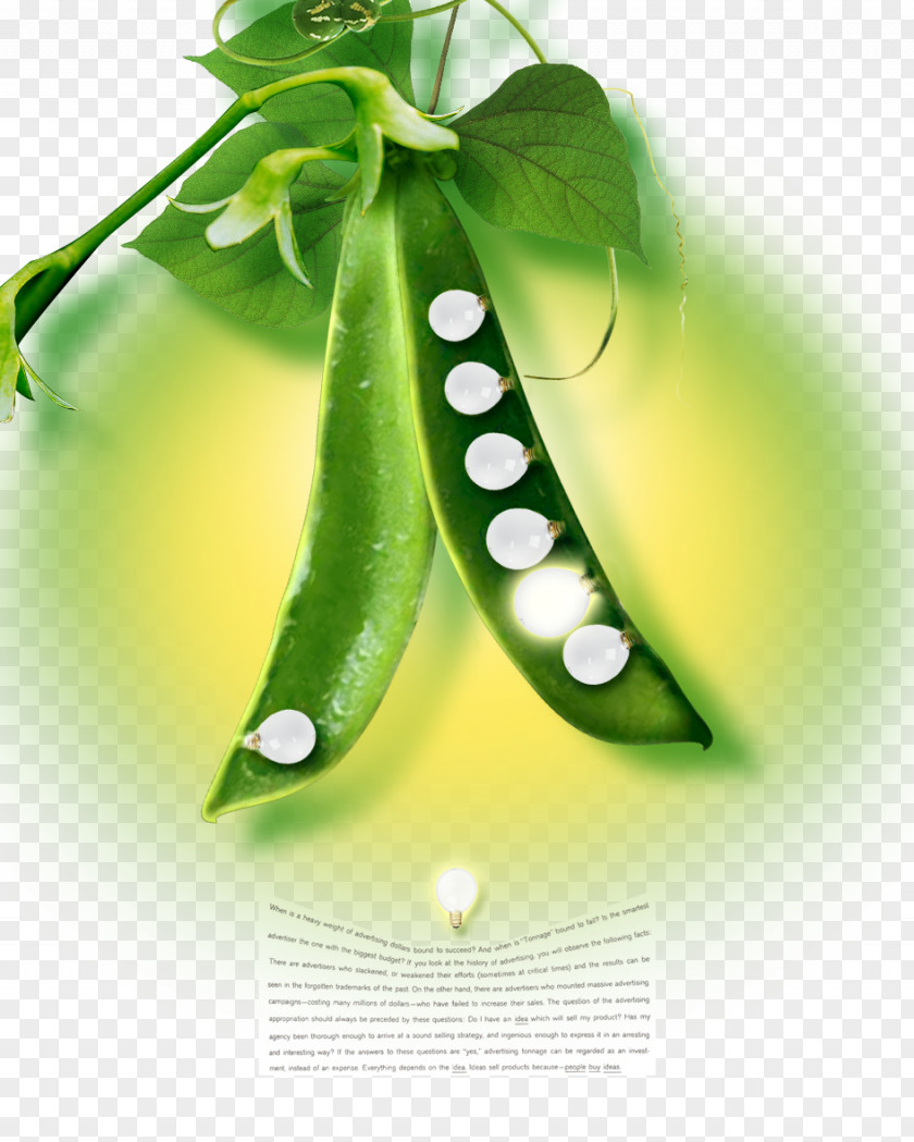 Creative Bulb Incandescent Light Pea PNG