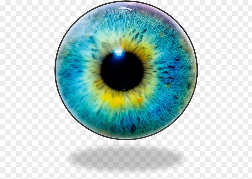 Eye Iris Human Pupil Color PNG