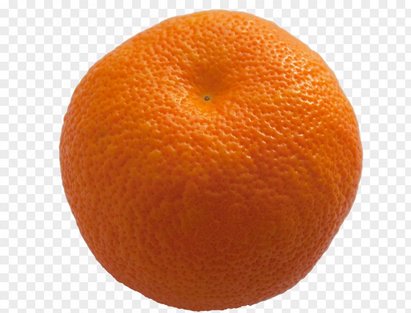 Grapefruit Clementine Mandarin Orange Tangerine Tangelo Blood PNG