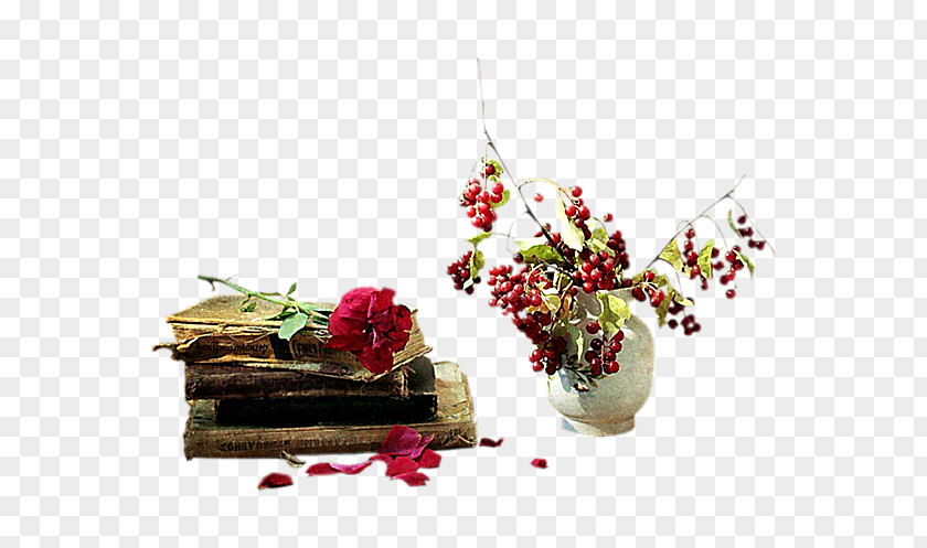 Health Cut Flowers Medicine Pain PNG