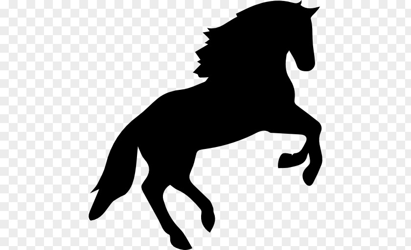 Horse Arabian Jumping Equestrian Clip Art PNG