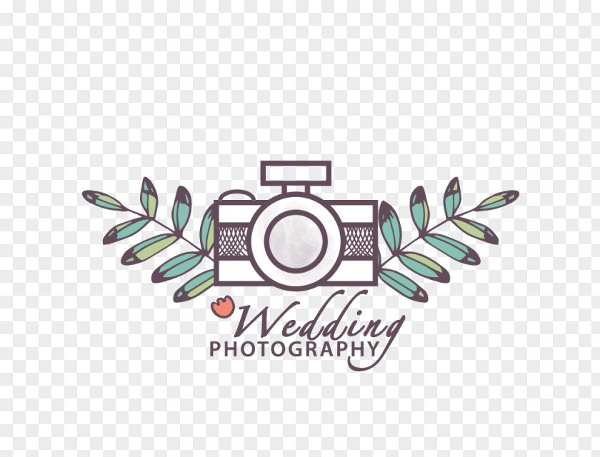 Photography Logo tree Image Vector Graphics Illustration PNG