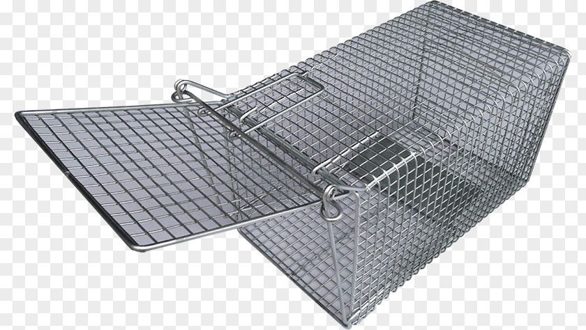 Rat Trap Trapping Cage Rodent PNG