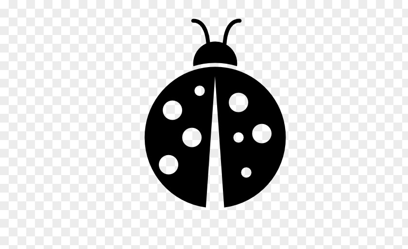 Beetle Ladybird PNG