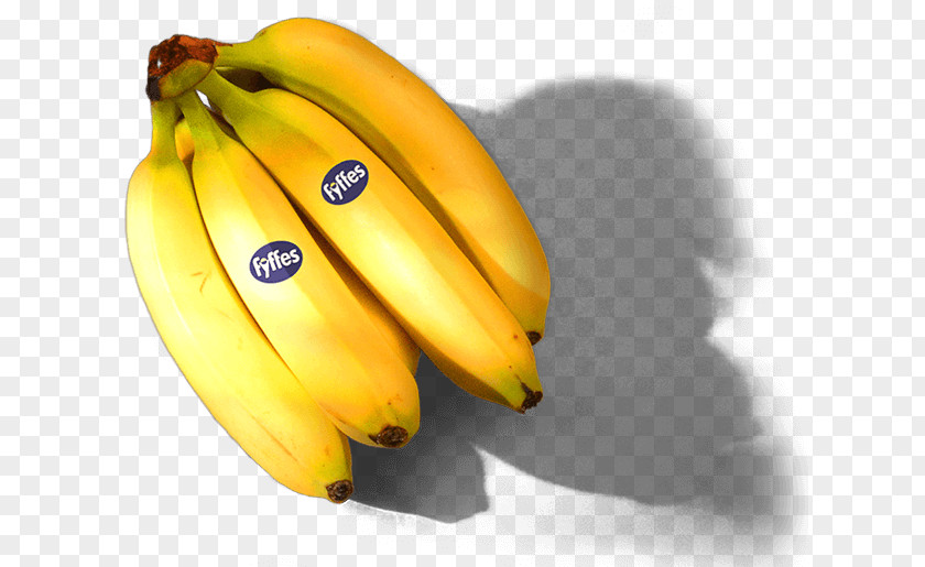 Delicious Melon Saba Banana Cooking Fyffes Chiquita Brands International PNG