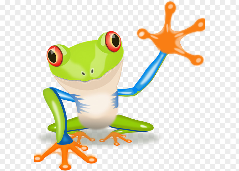 Frog Red-eyed Tree Clip Art PNG