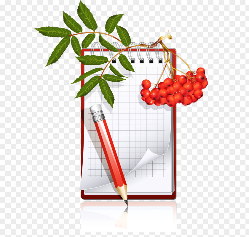 Notebook Paper Pen Writing Homework PNG