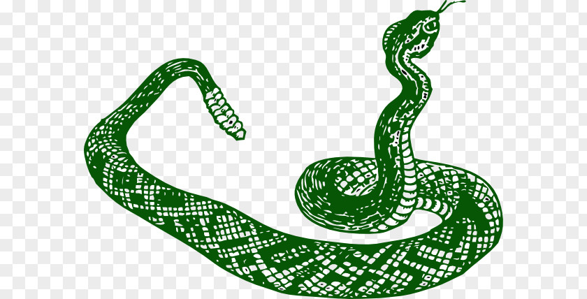 Serpent Cliparts Rattlesnake Vipers Clip Art PNG