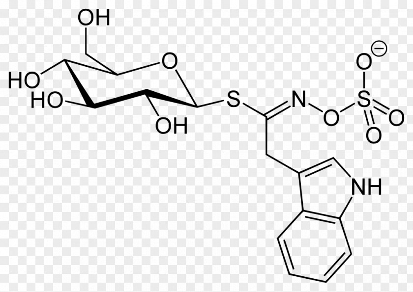 Sic L-Glucose Fructose Glucoside Chemistry PNG